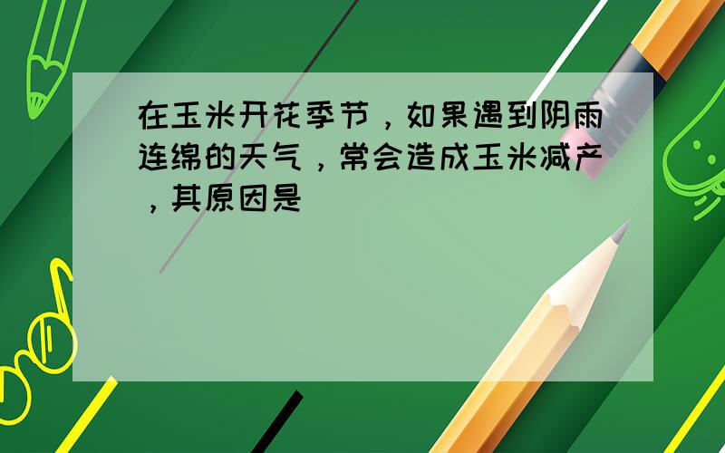 在玉米开花季节，如果遇到阴雨连绵的天气，常会造成玉米减产，其原因是（　　）