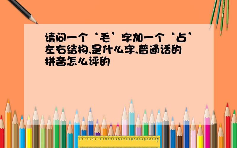 请问一个‘毛’字加一个‘占’左右结构,是什么字,普通话的拼音怎么评的