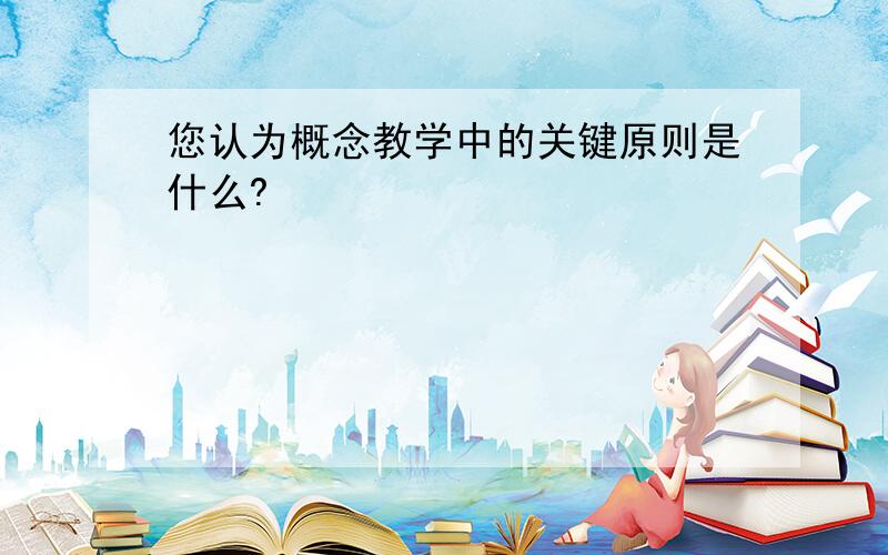 您认为概念教学中的关键原则是什么?