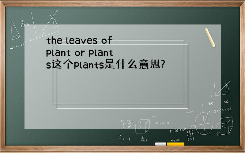 the leaves of plant or plants这个plants是什么意思?