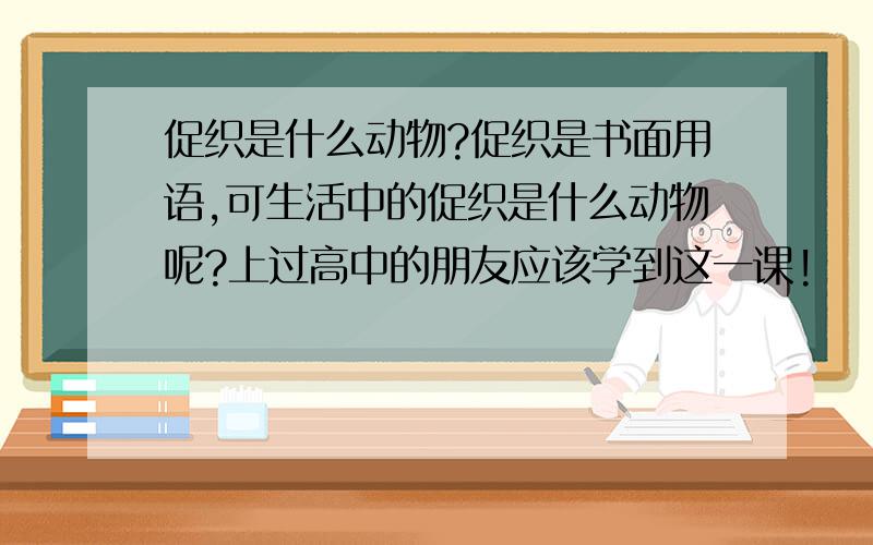 促织是什么动物?促织是书面用语,可生活中的促织是什么动物呢?上过高中的朋友应该学到这一课!