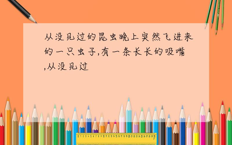 从没见过的昆虫晚上突然飞进来的一只虫子,有一条长长的吸嘴,从没见过