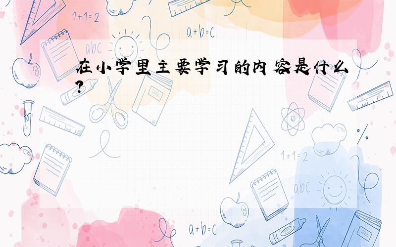 在小学里主要学习的内容是什么?