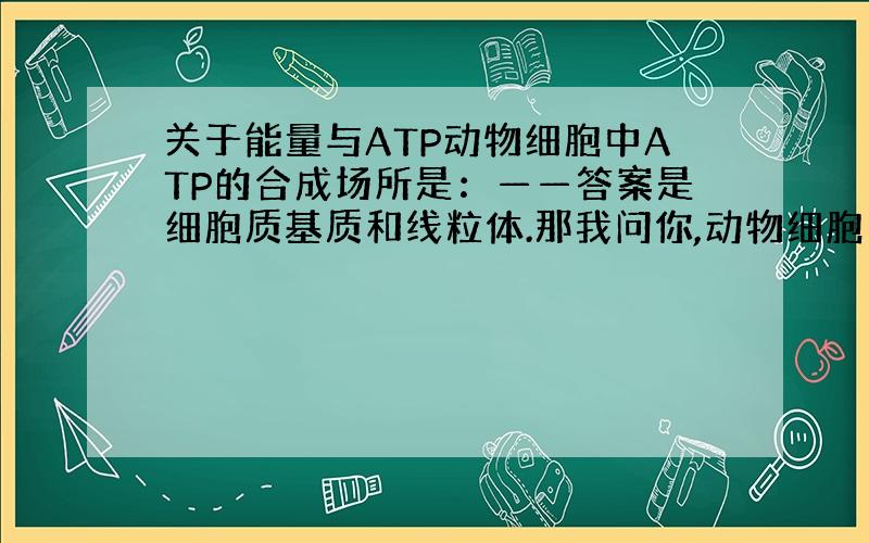 关于能量与ATP动物细胞中ATP的合成场所是：——答案是细胞质基质和线粒体.那我问你,动物细胞中供能的场所是哪里,回答是