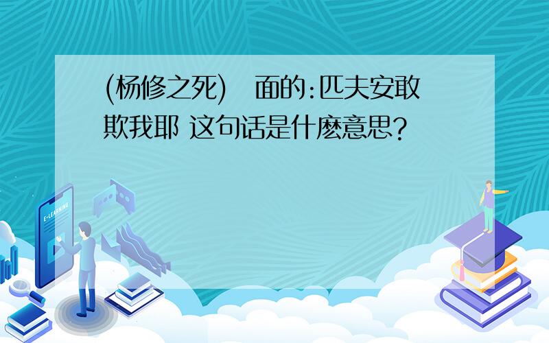 (杨修之死)裏面的:匹夫安敢欺我耶 这句话是什麽意思?