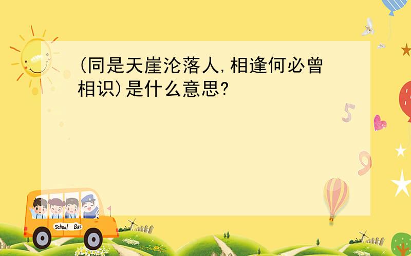 (同是天崖沦落人,相逢何必曾相识)是什么意思?