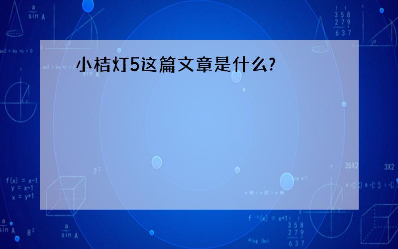 小桔灯5这篇文章是什么?