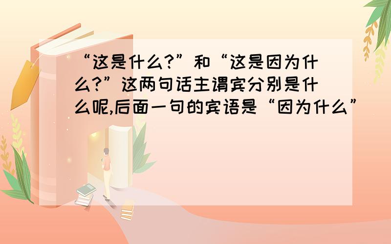 “这是什么?”和“这是因为什么?”这两句话主谓宾分别是什么呢,后面一句的宾语是“因为什么”