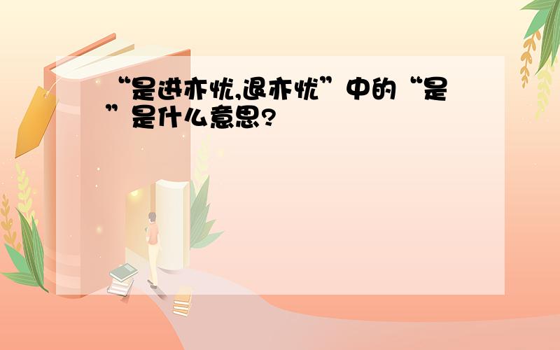 “是进亦忧,退亦忧”中的“是”是什么意思?