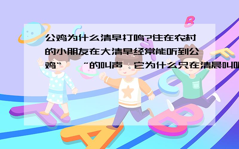 公鸡为什么清早打鸣?住在农村的小朋友在大清早经常能听到公鸡“喔喔”的叫声,它为什么只在清晨叫呢?原来任何生物体内都有一只