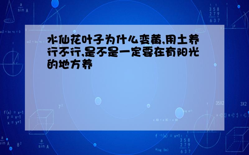 水仙花叶子为什么变黄,用土养行不行,是不是一定要在有阳光的地方养