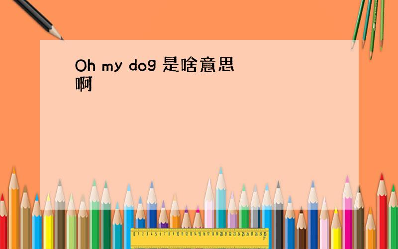 Oh my dog 是啥意思啊