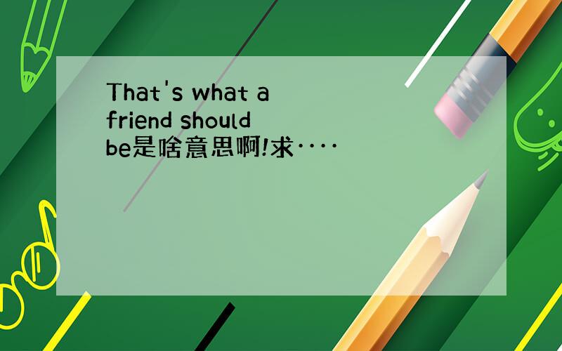 That's what a friend should be是啥意思啊!求····