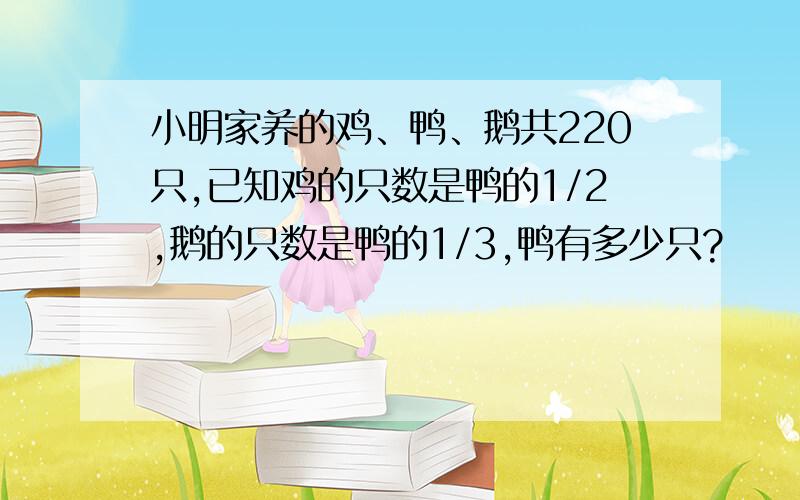 小明家养的鸡、鸭、鹅共220只,已知鸡的只数是鸭的1/2,鹅的只数是鸭的1/3,鸭有多少只?