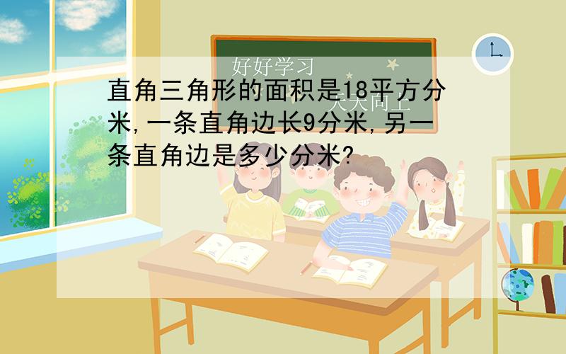 直角三角形的面积是18平方分米,一条直角边长9分米,另一条直角边是多少分米?