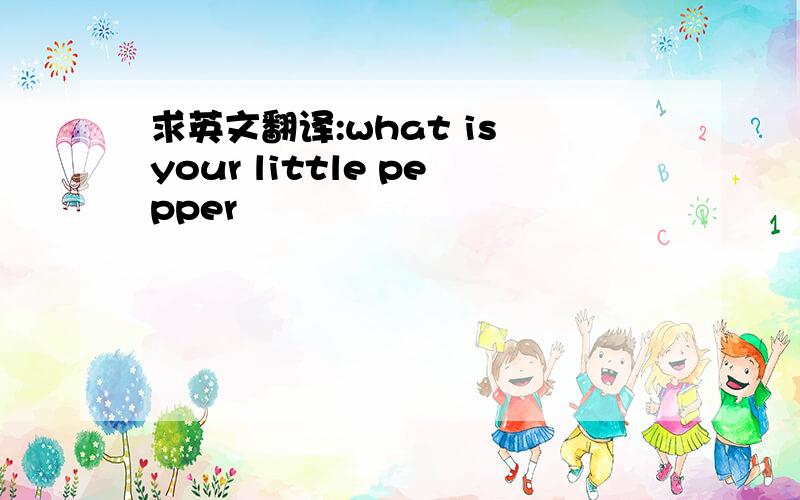 求英文翻译:what is your little pepper