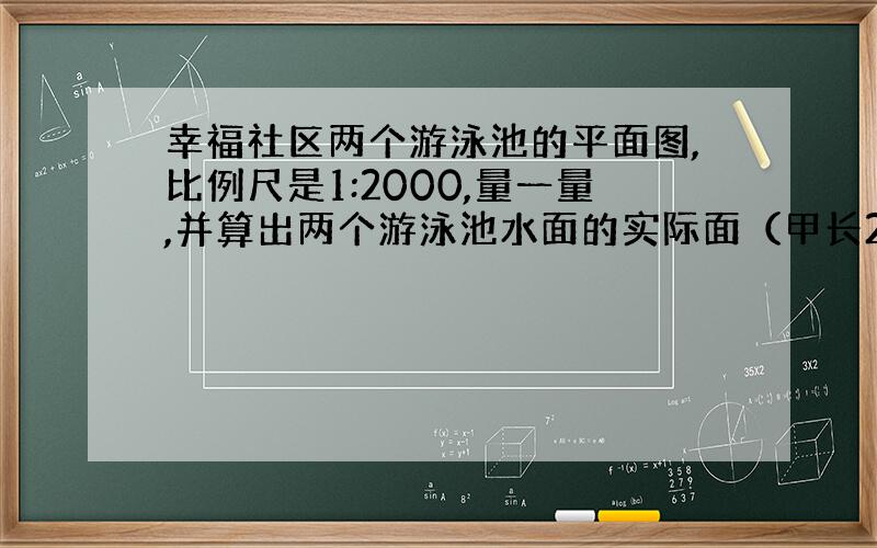 幸福社区两个游泳池的平面图,比例尺是1:2000,量一量,并算出两个游泳池水面的实际面（甲长2cm宽1cm,