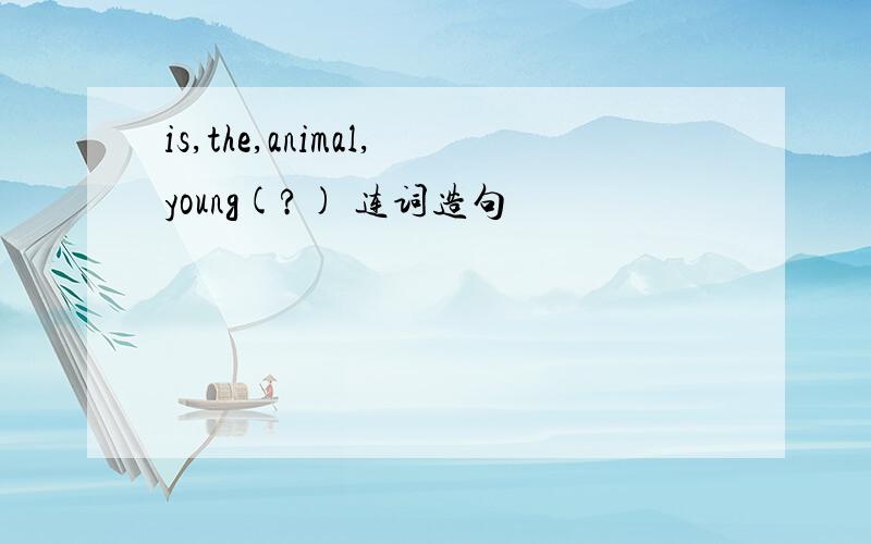 is,the,animal,young(?) 连词造句