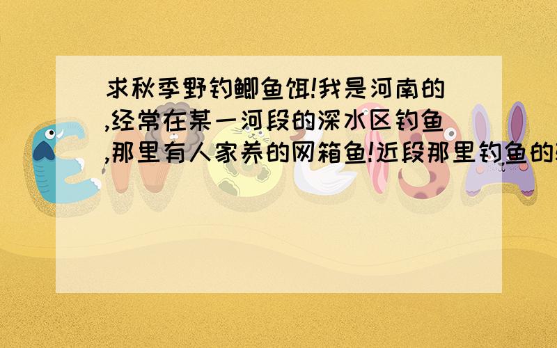 求秋季野钓鲫鱼饵!我是河南的,经常在某一河段的深水区钓鱼,那里有人家养的网箱鱼!近段那里钓鱼的较多,鱼反而不怎么吃钩了,