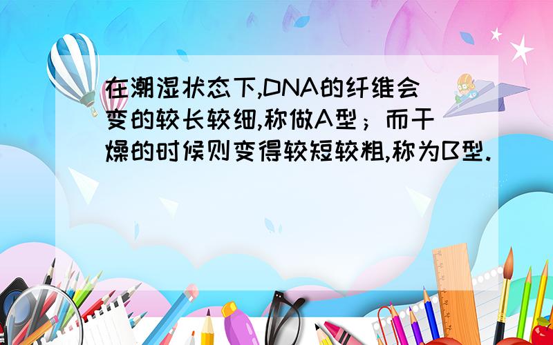 在潮湿状态下,DNA的纤维会变的较长较细,称做A型；而干燥的时候则变得较短较粗,称为B型.