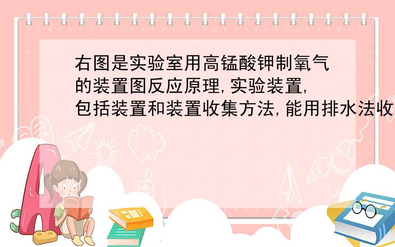 右图是实验室用高锰酸钾制氧气的装置图反应原理,实验装置,包括装置和装置收集方法,能用排水法收集是因为,检验方法说明体内的