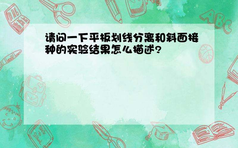 请问一下平板划线分离和斜面接种的实验结果怎么描述?