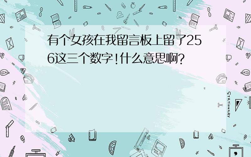 有个女孩在我留言板上留了256这三个数字!什么意思啊?