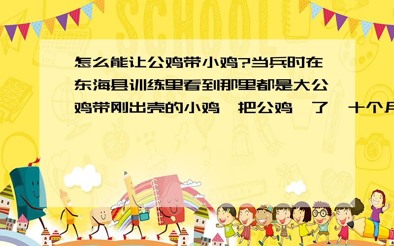 怎么能让公鸡带小鸡?当兵时在东海县训练里看到那里都是大公鸡带刚出壳的小鸡,把公鸡阉了,十个月到十二个月大的公鸡就会有母性