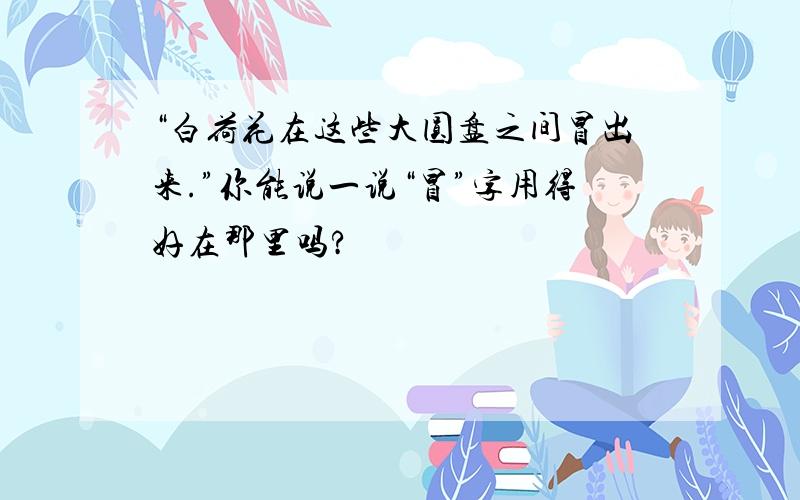 “白荷花在这些大圆盘之间冒出来.”你能说一说“冒”字用得好在那里吗?