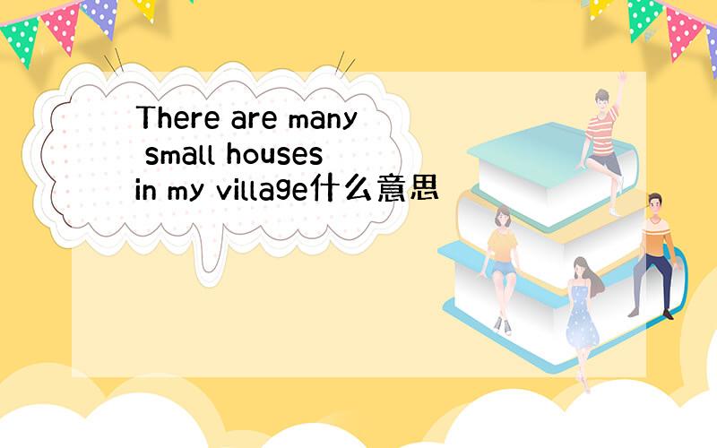 There are many small houses in my village什么意思