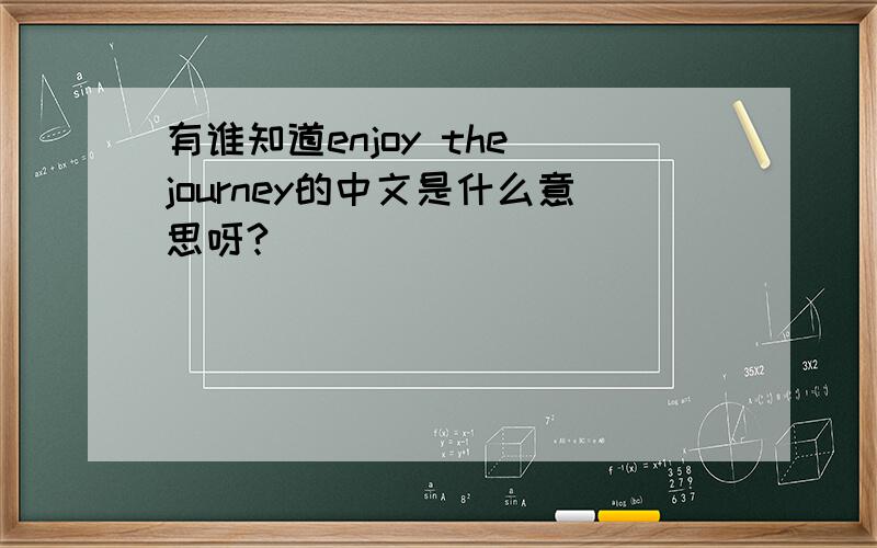 有谁知道enjoy the journey的中文是什么意思呀?