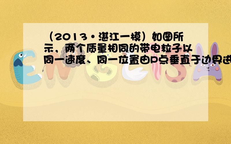 （2013•湛江一模）如图所示，两个质量相同的带电粒子以同一速度、同一位置由P点垂直于边界进入匀强磁场，在磁场中它们的运