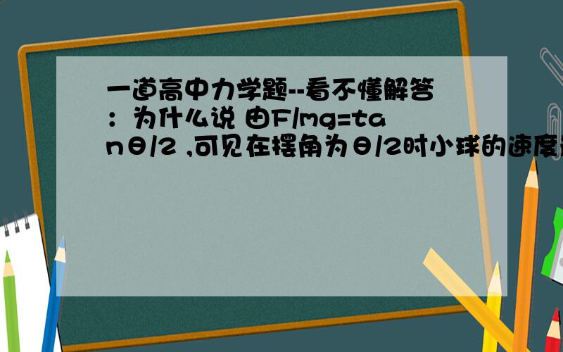 一道高中力学题--看不懂解答：为什么说 由F/mg=tanθ/2 ,可见在摆角为θ/2时小球的速度最大.