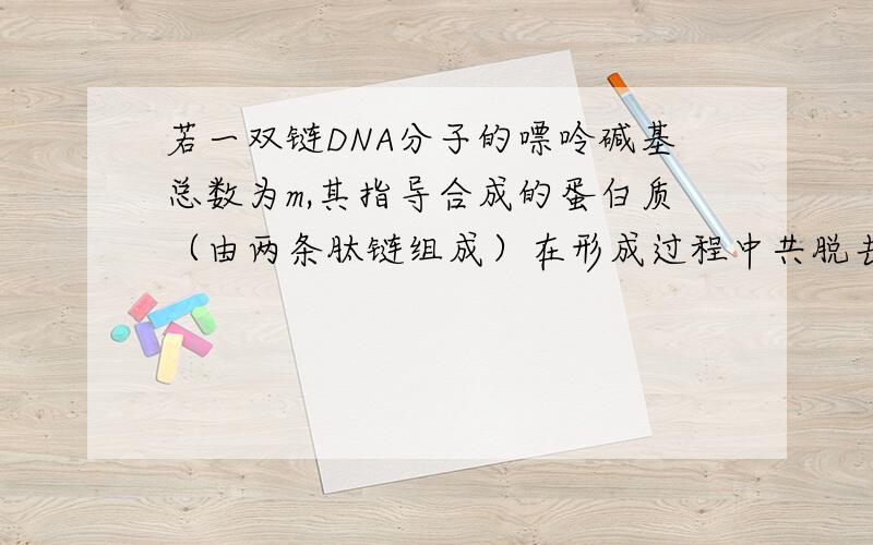 若一双链DNA分子的嘌呤碱基总数为m,其指导合成的蛋白质（由两条肽链组成）在形成过程中共脱去的水分子