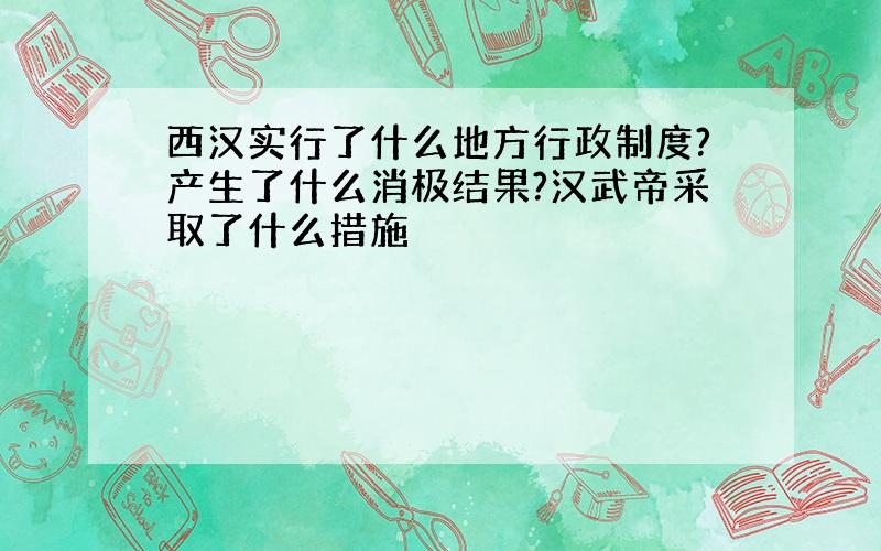 西汉实行了什么地方行政制度?产生了什么消极结果?汉武帝采取了什么措施