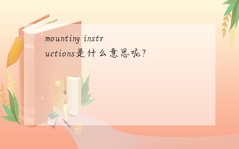 mounting instructions是什么意思呢?