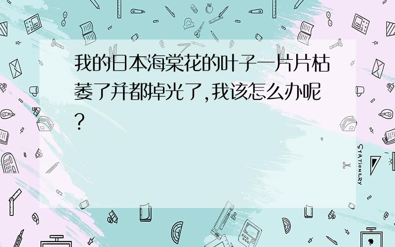 我的日本海棠花的叶子一片片枯萎了并都掉光了,我该怎么办呢?