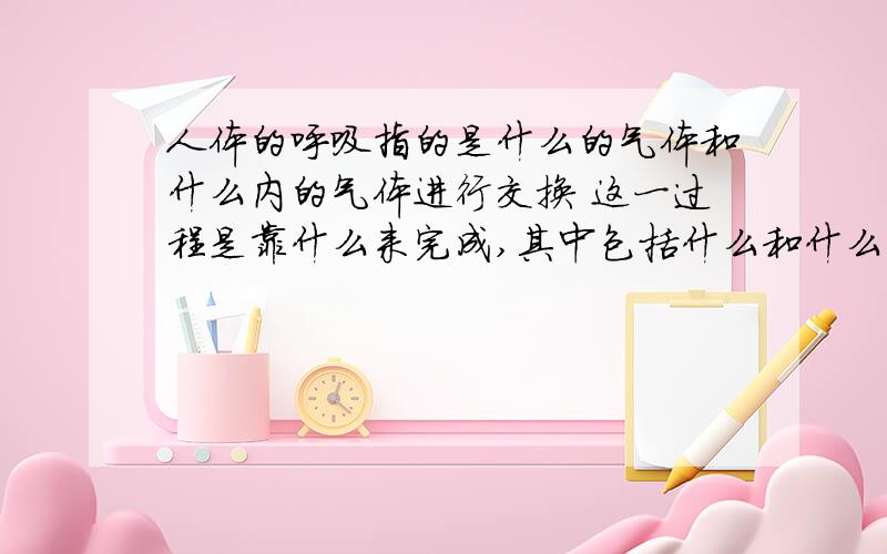 人体的呼吸指的是什么的气体和什么内的气体进行交换 这一过程是靠什么来完成,其中包括什么和什么两个生理