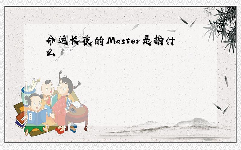 命运长夜的Master是指什么