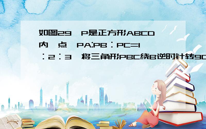 如图29,P是正方形ABCD内一点,PA:PB：PC=1：2：3,将三角形PBC绕B逆时针转90度,到三角形QAB的位置