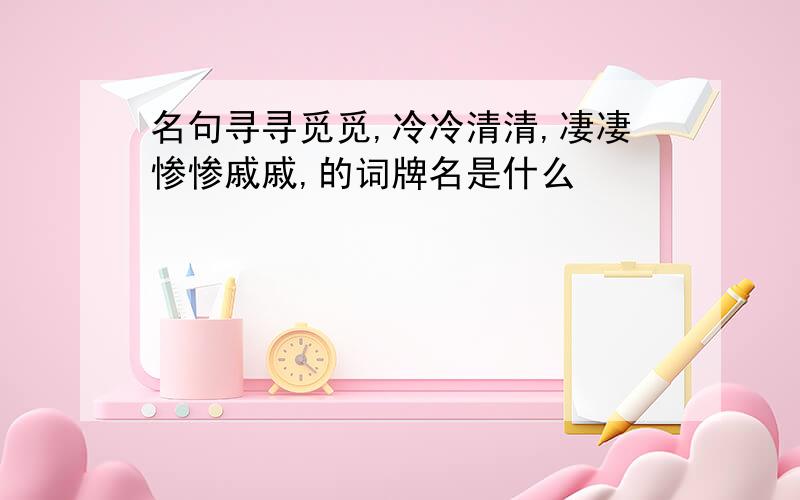 名句寻寻觅觅,冷冷清清,凄凄惨惨戚戚,的词牌名是什么