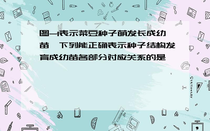 图-1表示菜豆种子萌发长成幼苗,下列能正确表示种子结构发育成幼苗各部分对应关系的是