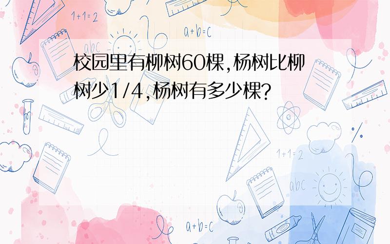 校园里有柳树60棵,杨树比柳树少1/4,杨树有多少棵?