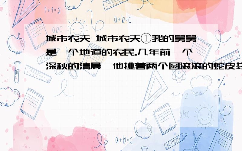 城市农夫 城市农夫①我的舅舅是一个地道的农民.几年前一个深秋的清晨,他挑着两个圆滚滚的蛇皮袋,踏上了开往城市的班车.舅舅