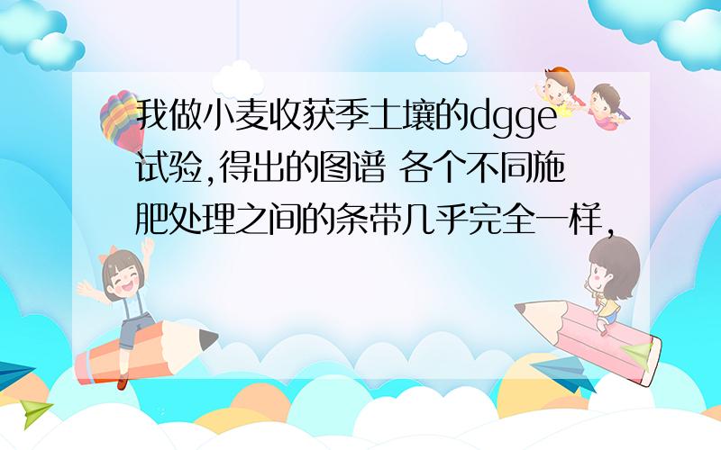 我做小麦收获季土壤的dgge试验,得出的图谱 各个不同施肥处理之间的条带几乎完全一样,