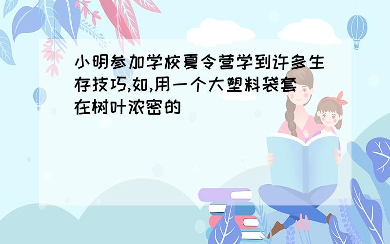 小明参加学校夏令营学到许多生存技巧,如,用一个大塑料袋套在树叶浓密的