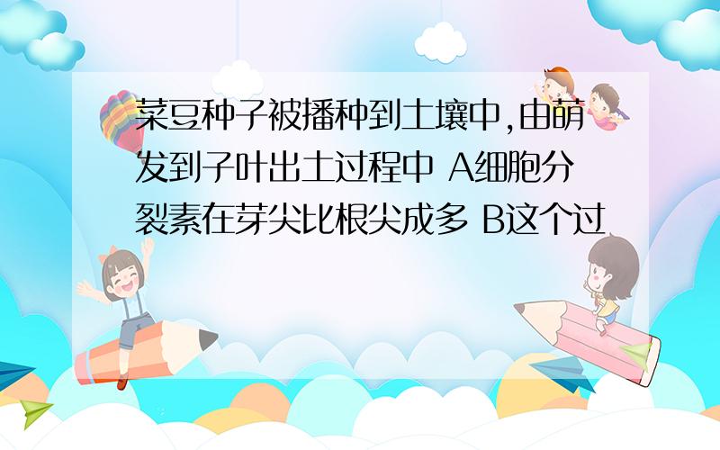 菜豆种子被播种到土壤中,由萌发到子叶出土过程中 A细胞分裂素在芽尖比根尖成多 B这个过