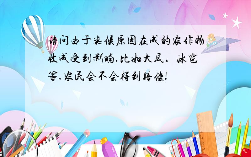 请问由于气候原因在成的农作物收成受到影响,比如大风、冰雹等,农民会不会得到赔偿!