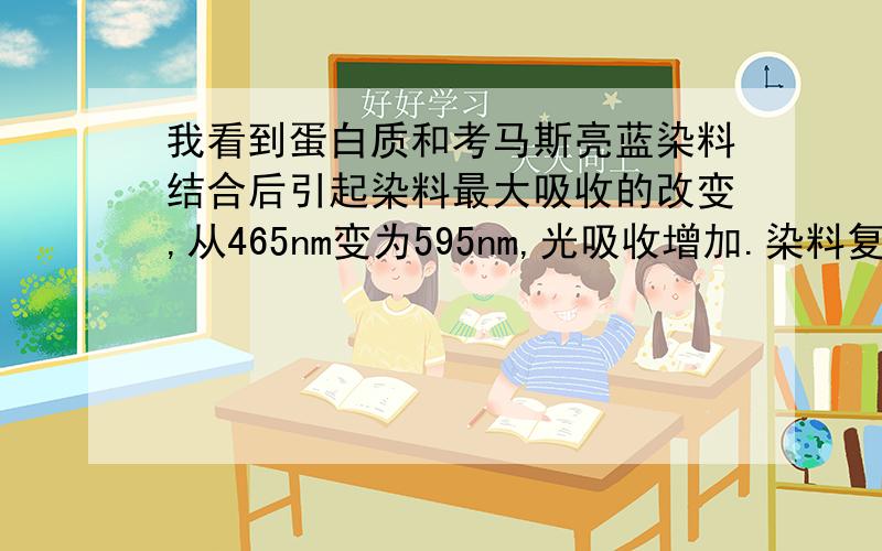 我看到蛋白质和考马斯亮蓝染料结合后引起染料最大吸收的改变,从465nm变为595nm,光吸收增加.染料复合物具有高的消光