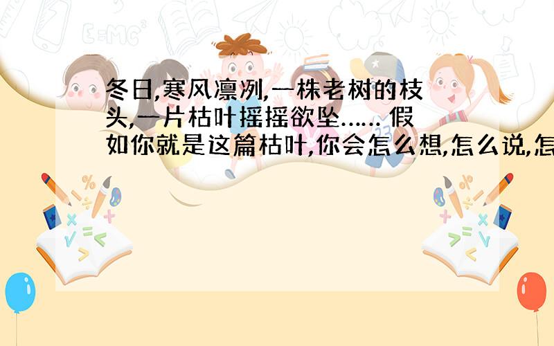 冬日,寒风凛冽,一株老树的枝头,一片枯叶摇摇欲坠…… 假如你就是这篇枯叶,你会怎么想,怎么说,怎么做